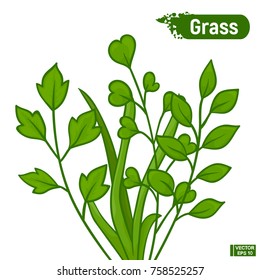Vector image. Colorful sketch of green blades. Several green leaves and grass isolated on white background.