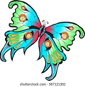 Vector image of a colorful tropical butterfly isolated on white background