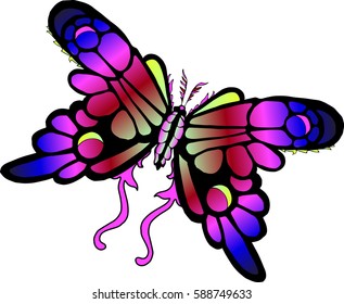 Vector image of a colorful tropical butterfly isolated on white background