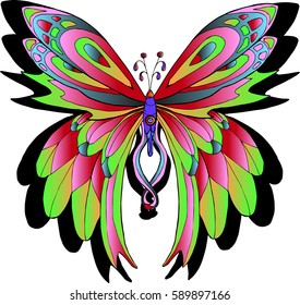 Vector image of a colorful tropical butterfly isolated on white background