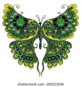 Vector image of a colorful tropical butterfly isolated on white background