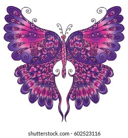 Vector image of a colorful tropical butterfly isolated on white background