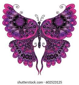 Vector image of a colorful tropical butterfly isolated on white background