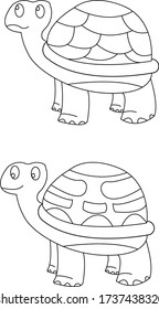 Vector image coloring book of two turtles with different shells.