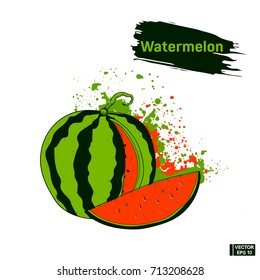 Vector image. Colors picture of the watermelon. Sketch fruit hand drawing, imitation ink splashes and blots. Red and green