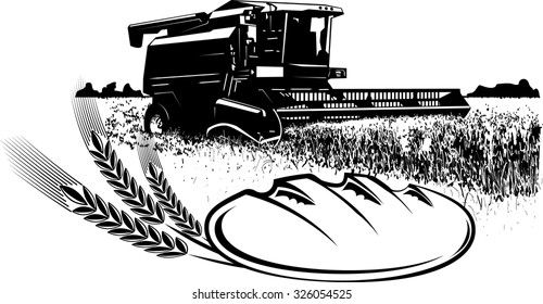 Vector image of a combine harvesting.It achieved as prints.