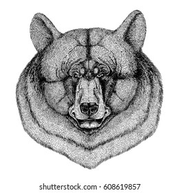 Vector image Cool and fashionable black bear Vintage style Engraving Image for tattoo, logo, emblem, badge design