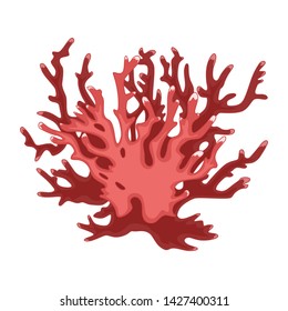 Vector image of coral. Image on white background.