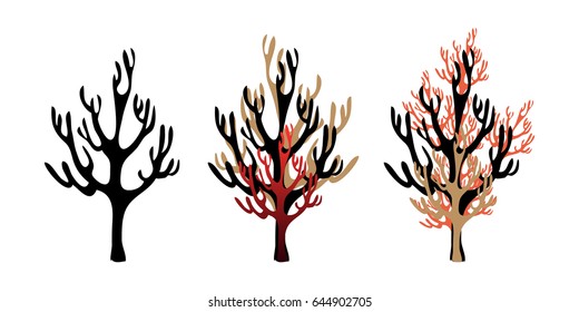 Vector image of coral on white background. Three different variations of corals in one set