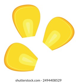 Vector image of corn. Food concept. Element for your design. Ingredient for cooking.