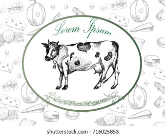Vector image of an cow and different varieties of cheese. Can be used for packaging design.