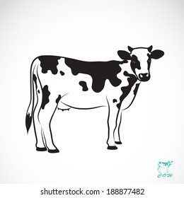 Vector image of an cow on white background