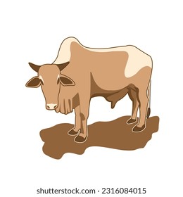vector image of a cow on a white background