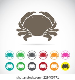 Vector image of an crab on white background