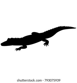 Vector image of a crocodile silhouette on a white background