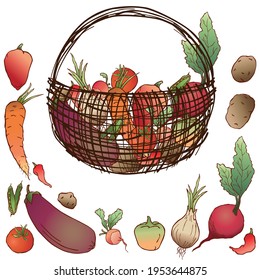 Imagen vectorial del cultivo de varias verduras maduras en la cesta