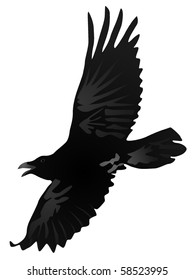 vector image of a crow