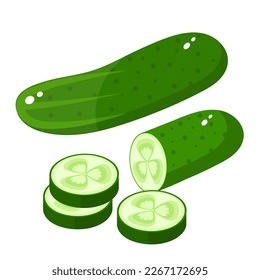 Vector image of a cucumber . The concept of a healthy diet and lifestyle. A ripe and delicious product. A bright element for your design