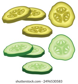 Vector image of cucumber slices. Concept of food and ingredients for cooking. Element for your design