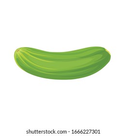 
Vector image of a cucumber. Vegetables. Ingredient for the salad.