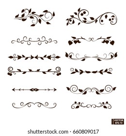 Vector image. Curls and scrolls set. Frame and Dividers with plant elements