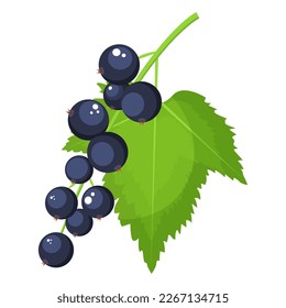 Imagen vectorial de una corriente. El concepto de una dieta saludable y un estilo de vida. Un producto maduro y delicioso. Un elemento luminoso para el diseño