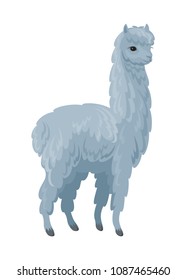 Vector image of cute alpaca in cartoon style. Colorful illustration isolated on a white background