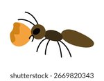 Vector image of a cute, colorful ant. Features of an ant