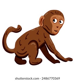 Vector image of a cute colorful Monkey. This illustration showcases the intricate features of an monkey's anatomy. Perfect for educational materials and animal-themed projects. Isolated image.