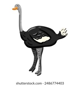 Vector image of a cute colorful ostrich. This illustration showcases the intricate features of an ostrich's anatomy. Perfect for educational materials and animal-themed projects. Isolated image.