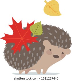 Vector image of a cute hedgehog on a white background. Hedgehog with leaves on the back smiling