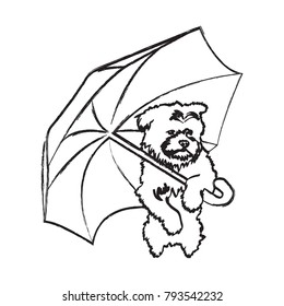 Vector image of cute little doggie