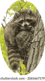 Vector Image of a Cute Raccoon Resting on Tree Knot