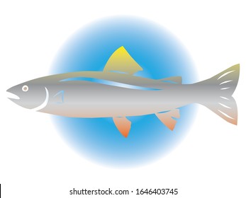 vector image of a cuttrhroat trout fish