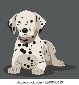 Vector image of a Dalmatian puppy.