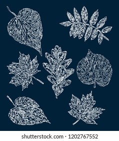 Vector image of decorative frozen leaves