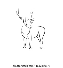 Vector image of an Deer black and white. design style. animal. art. symbol. logo. Illustrator. on white background. Mammals