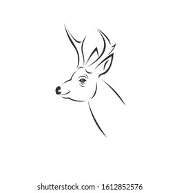 Vector image of an Deer black and white. design style. animal. art. symbol. logo. Illustrator. on white background. Mammals