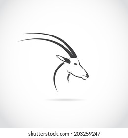 Vector image of an deer head (impala) on white background.