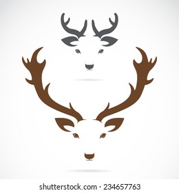 Vector image of an deer head on a white background