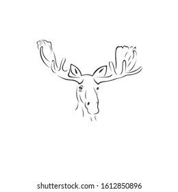 Vector image of an Deer Moose black and white. design style. animal. art. symbol. logo. Illustrator. on white background. Mammals