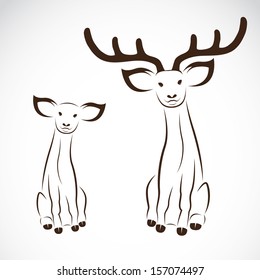 Vector image of an deer on a white background
