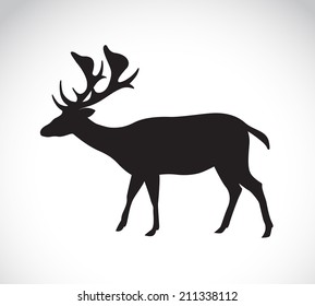 Vector image of an deer on white background