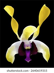 vector image of a Dendrobium orchid flower on black background