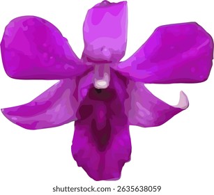 Vector Imagen de una flor de orquídea violeta dendrobium sobre un fondo blanco