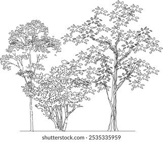 vector image design illustration of tree plants in parks and forests for city greening