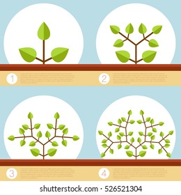 Vector image of the Dichotomous branching plants banner