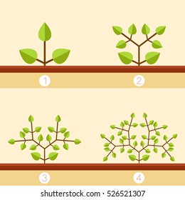 Vector image of the Dichotomous branching plants banner