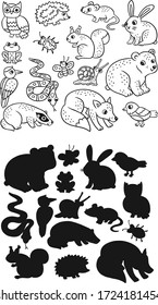 vector image: different forest animals color and find the shadow