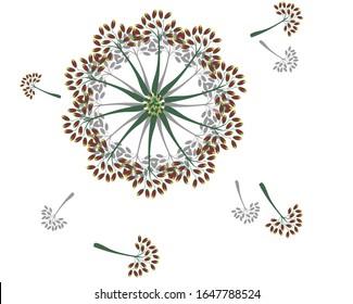 Vektorillustration Bild der Blume mit Samen. Der einzelne Hintergrund